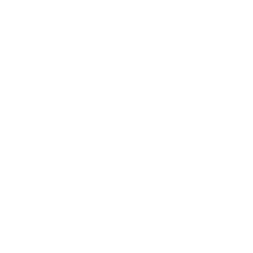 Court Tickets icon